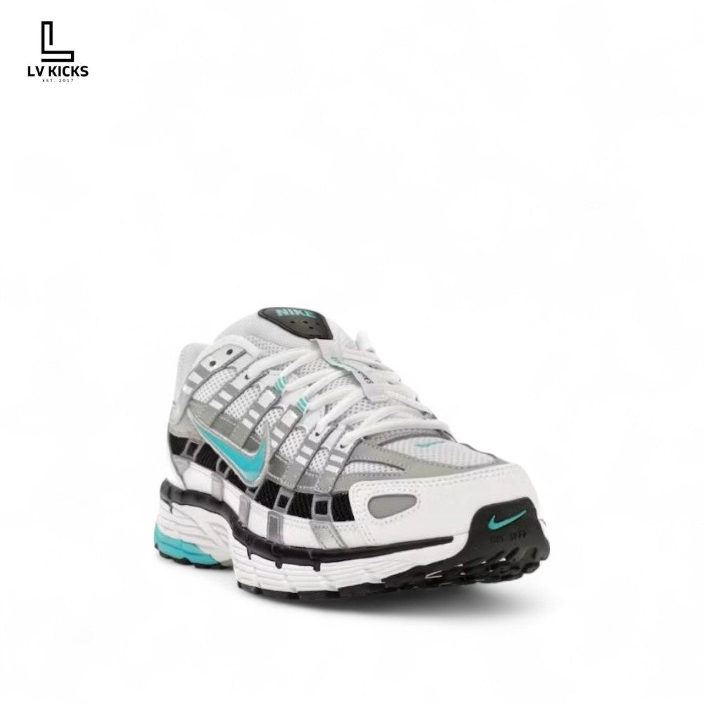 Nike P-6000 Dusty Cactus