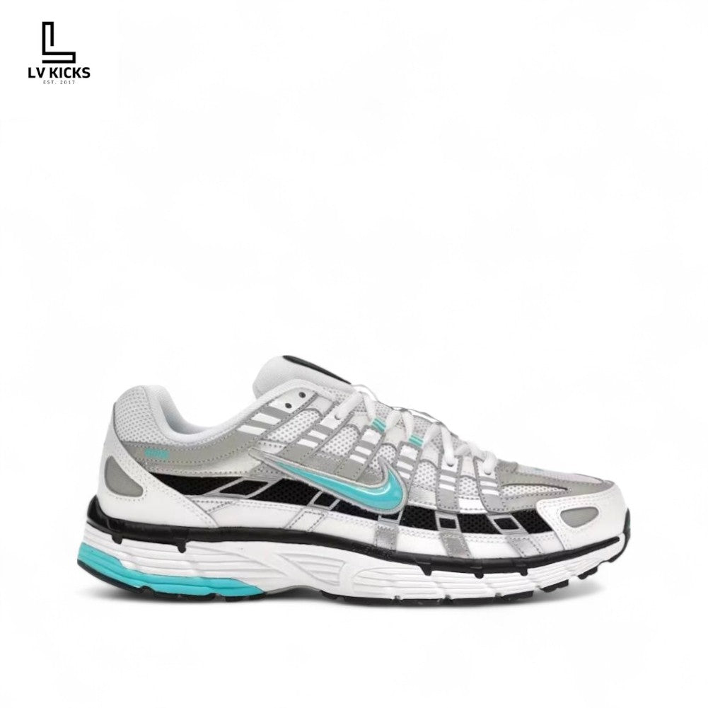 Nike P-6000 Dusty Cactus